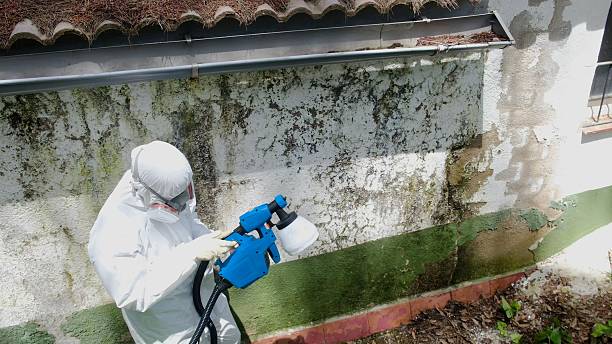 Top rated local Mold Inspection And Testing specialists in Oak Ridge, TN